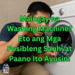 maingay