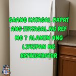 life span